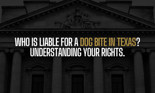 Legal information about dog bites